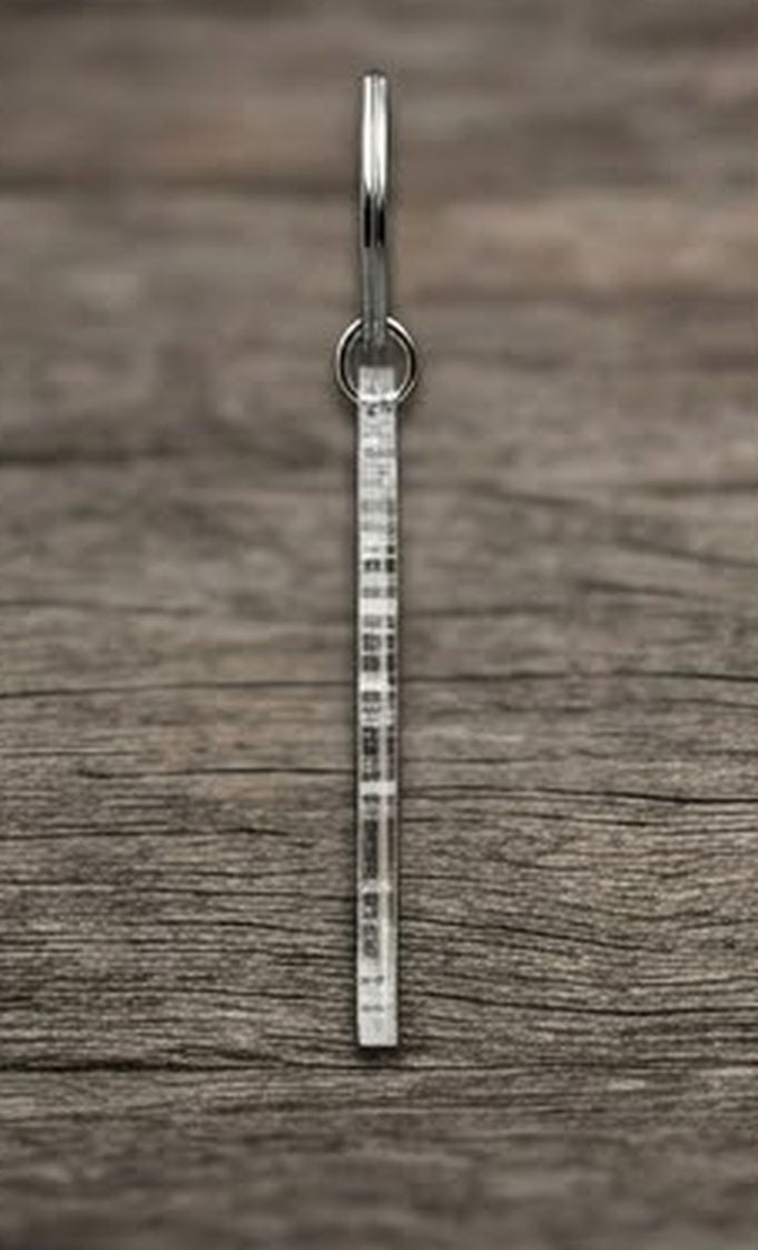 SUCKAFREE UNIVERSITY: "Detroit Hustles Different" Keychain